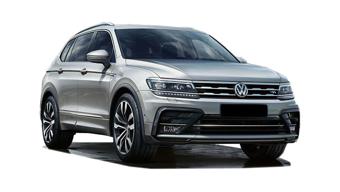 Tiguan или passat