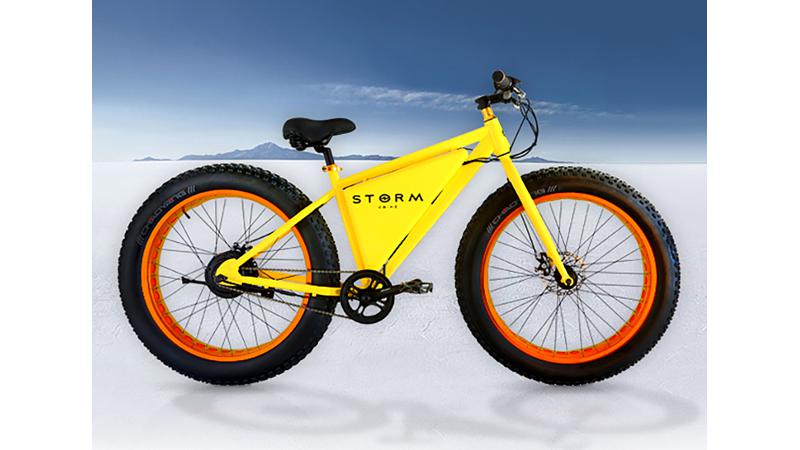 affordable fat bike