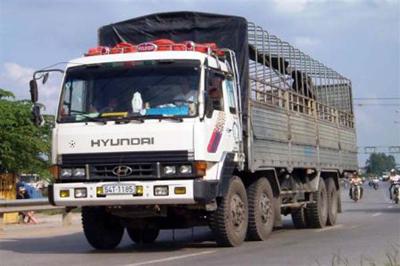 Hyundai trucks