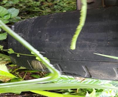 Mahindra XUV500 Accident -Worn-out tyres