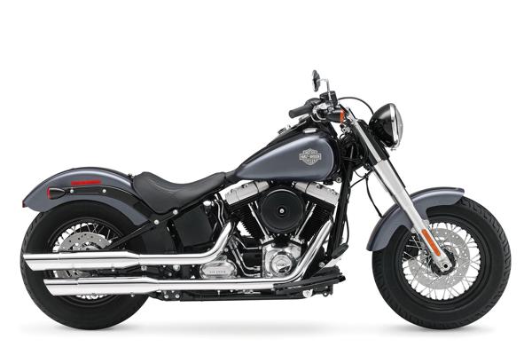 Harley Davidson FLS Softail