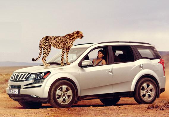 Top 8 SUVs available in the Indian auto market